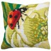 Collection D'Art - Ladybug on green flower