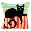 Collection D'Art - Mr Handsome - Cat