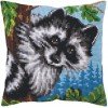 Collection D'Art - Little raccoon