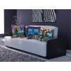 Collection D'Art - Twilight