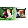 Collection D'Art - Night jungle