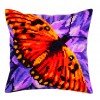 Collection D`Art - Gráficos de mariposas