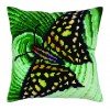 Collection D`Art - Gráficos de mariposas