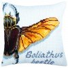 Collection D'Art - Goliathus beetle