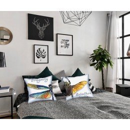 Collection D`Art - Libélula