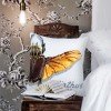 Collection D'Art - Goliathus beetle