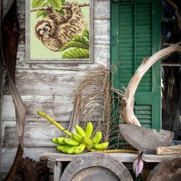 Collection D`Art - Pereza