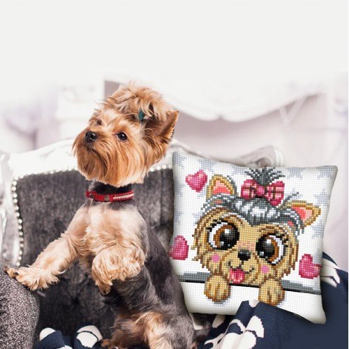 Collection D'Art - Yorkshire terrier
