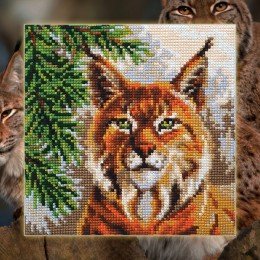 Collection D'Art - Lynx