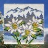 Collection D'Art - Edelweiss