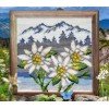 Collection D'Art - Edelweiss