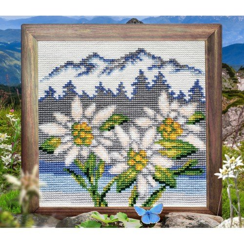 Collection D'Art - Edelweiss