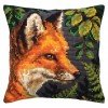 Collection D`Art - Fox