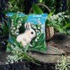 Collection D`Art - Conejo blanco