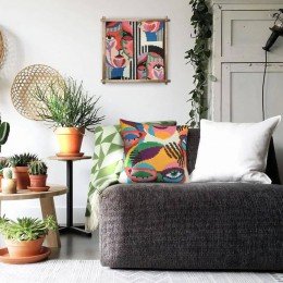 Collection D`Art - En los rayos del atardecer