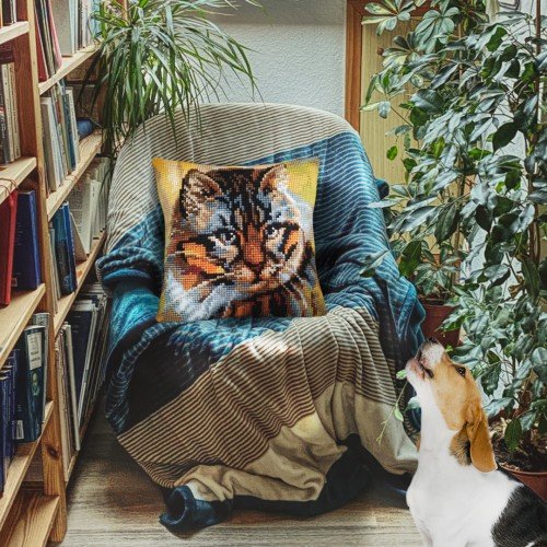 Collection D'Art - Who runs the house?