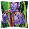 Collection D`Art - Iris