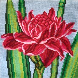 Collection D`Art - Loto