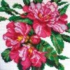 Collection D`Art - Azalea