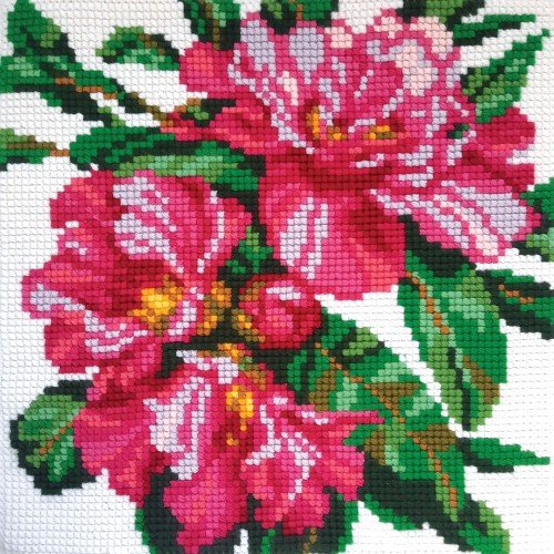 Collection D`Art - Azalea