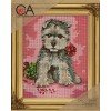 Collection D`Art - Perro