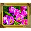 Collection D'Art - Wild Flowers