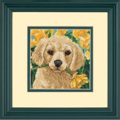Dimensions - Puppy mischief