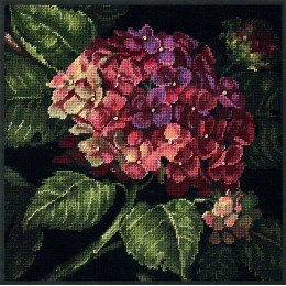 Dimensions - Hydrangea bloom