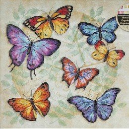 Dimensions - Butterfly profusion