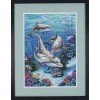 Dimensions - The dolphins domain