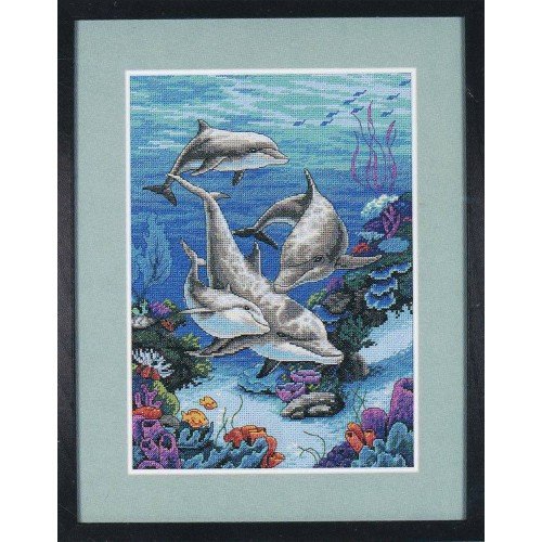 Dimensions - The dolphins domain