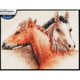 Dimensions - Horse pals