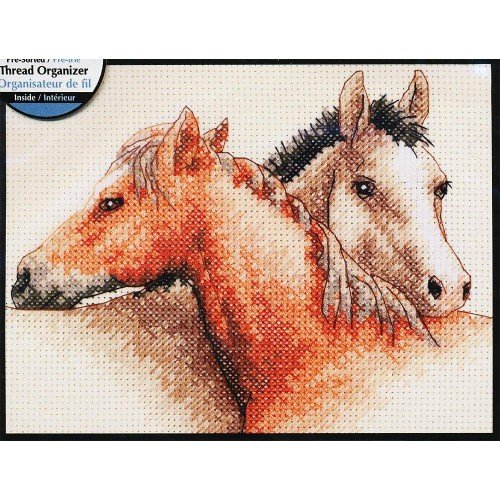 Dimensions - Amigos de los caballos