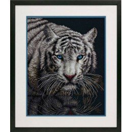 Dimensions - Hacia la luz