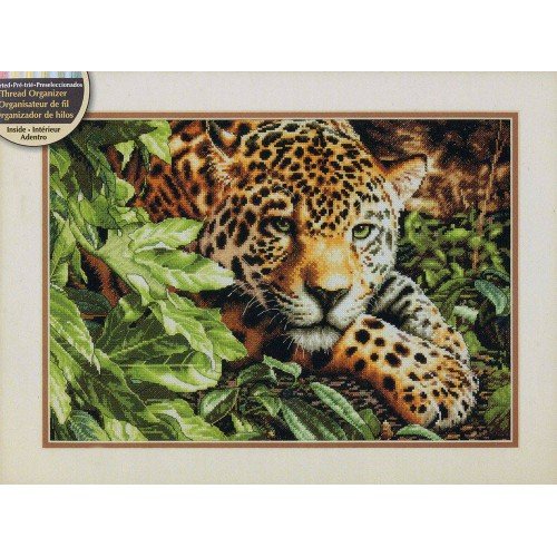 Dimensions - Leopard in repose