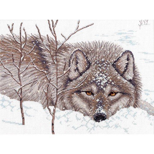 Dimensions - Snow daze
