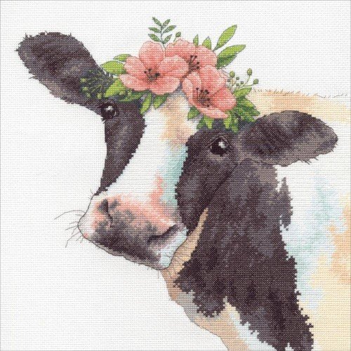 Dimensions - Sweet cow