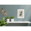 Klart - Olive Sprig