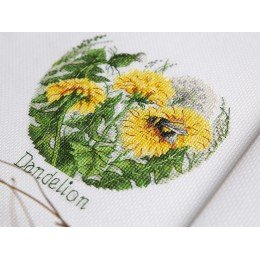 Klart - FlowerCompliments. Dandelions