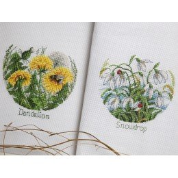 Klart - FlowerCompliments. Dandelions