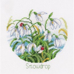 Klart - FlowerCompliments. Snowdrops