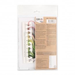 Klart - FlowerCompliments. Snowdrops