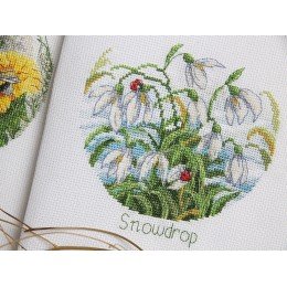 Klart - FlowerCompliments. Snowdrops