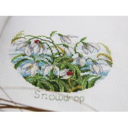 Klart - FlowerCompliments. Snowdrops