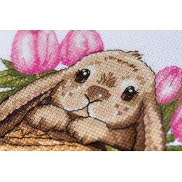 Klart - Bunny in Hat