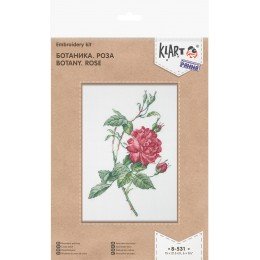 Klart - Botany. Rose