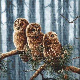 LetiStitch - Owls family