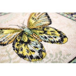 LetiStitch - Vintage butterfly