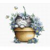 Luca-S - Kitten in flowers