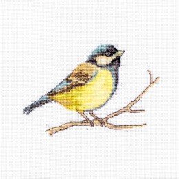 Luca-S - Great tit